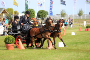 Giel van der Linden. Nationaal kampioen Tweespan pony klasse M 2019